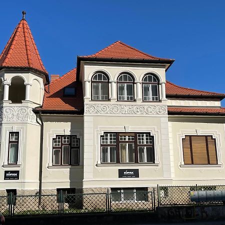 Vila Marioara Sybin Zewnętrze zdjęcie